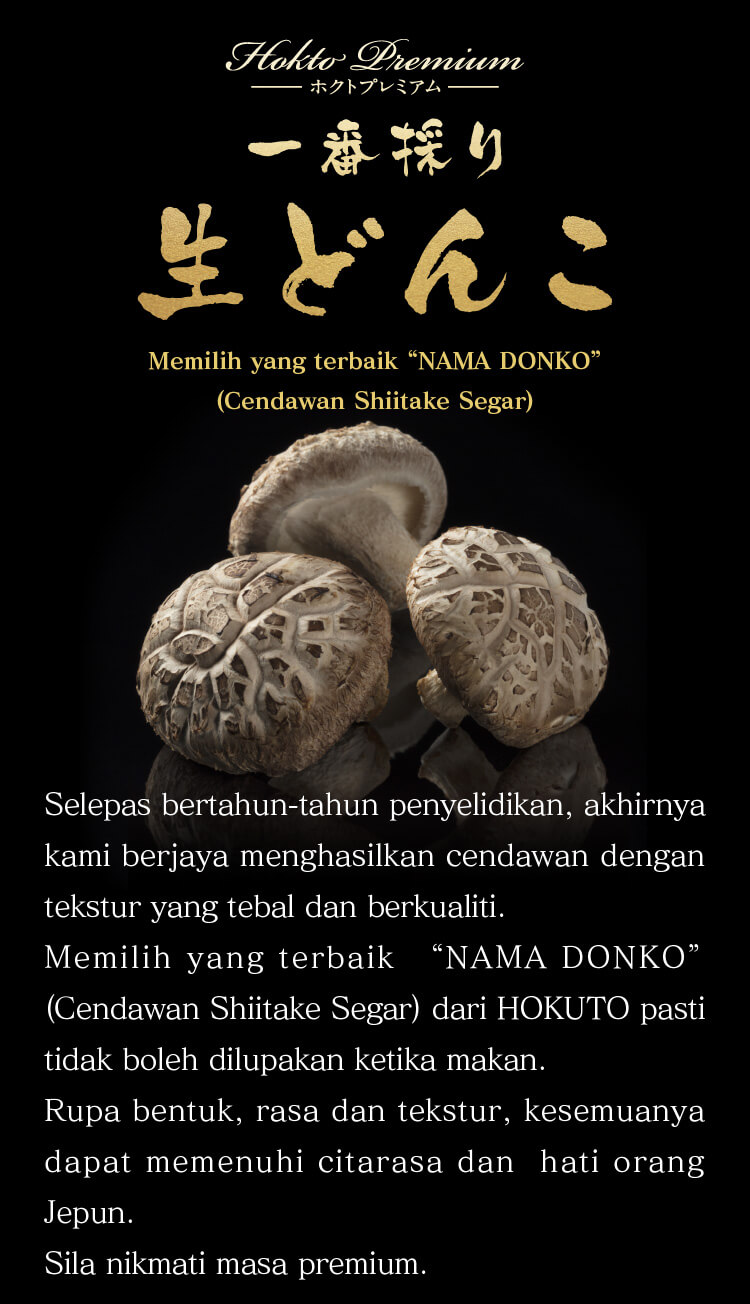 NAMA DONKO(Cendawan Shiitake Segar)