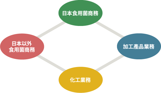 以全球視野進行挑戰。日本唯一的「菇類綜合企業」