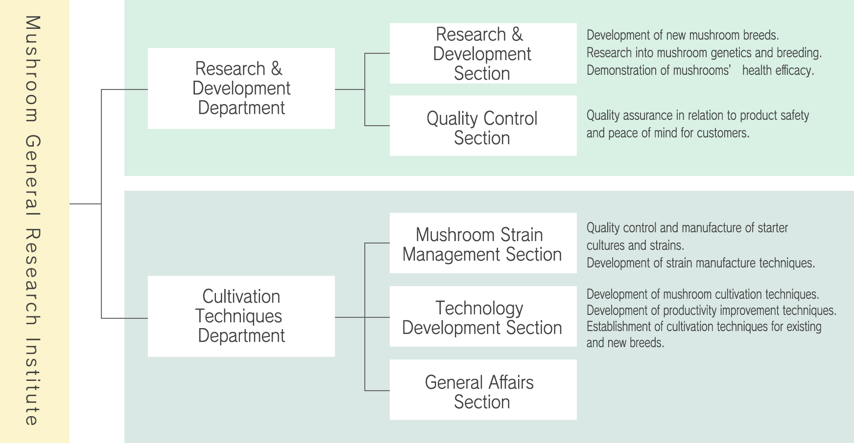Research & Development Structure