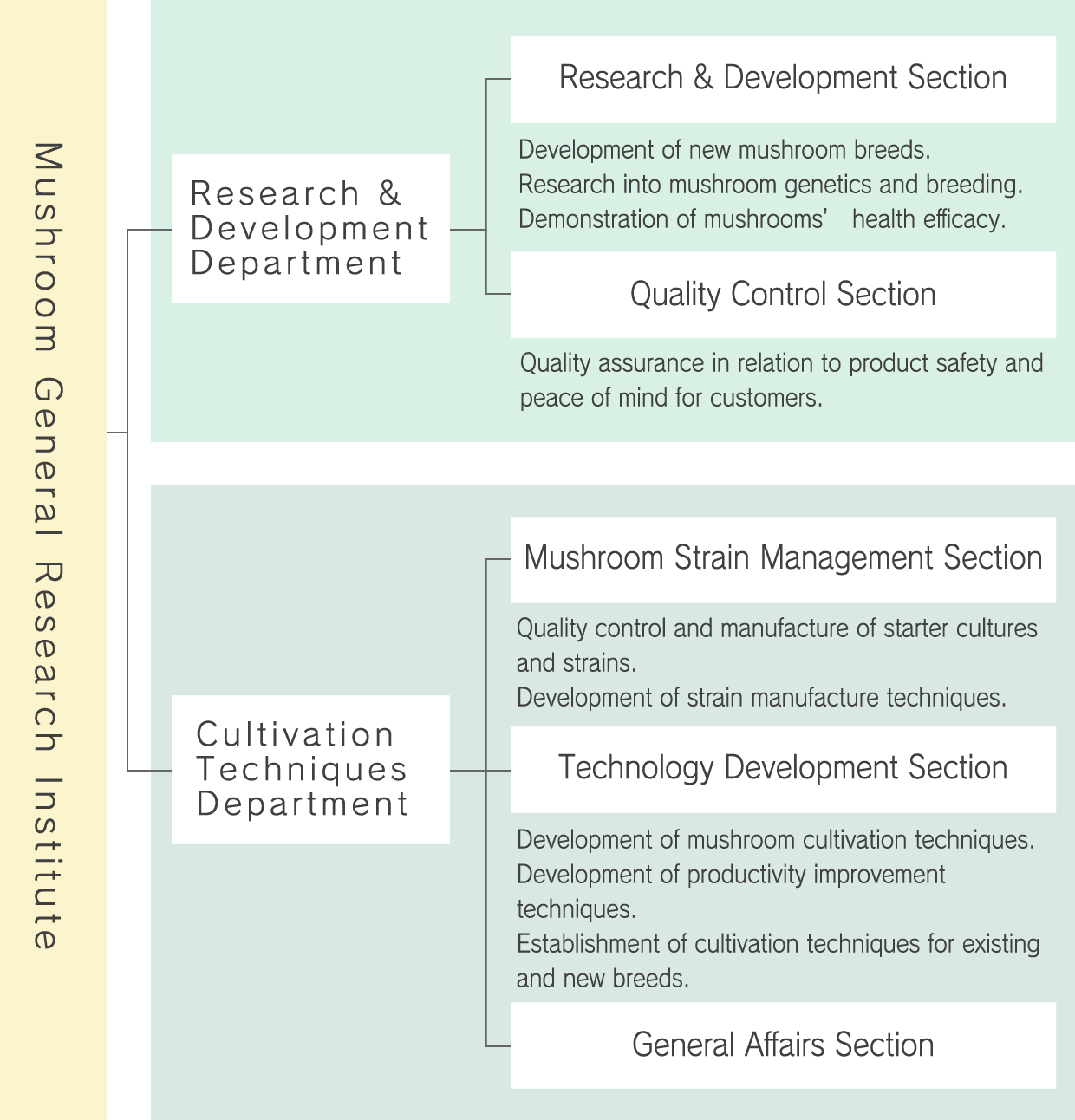 Research & Development Structure