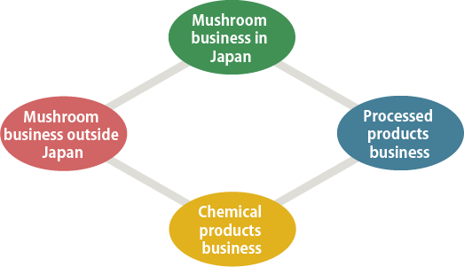 Taking on challenges with a global outlook. Japan’s only comprehensive mushroom corporation.