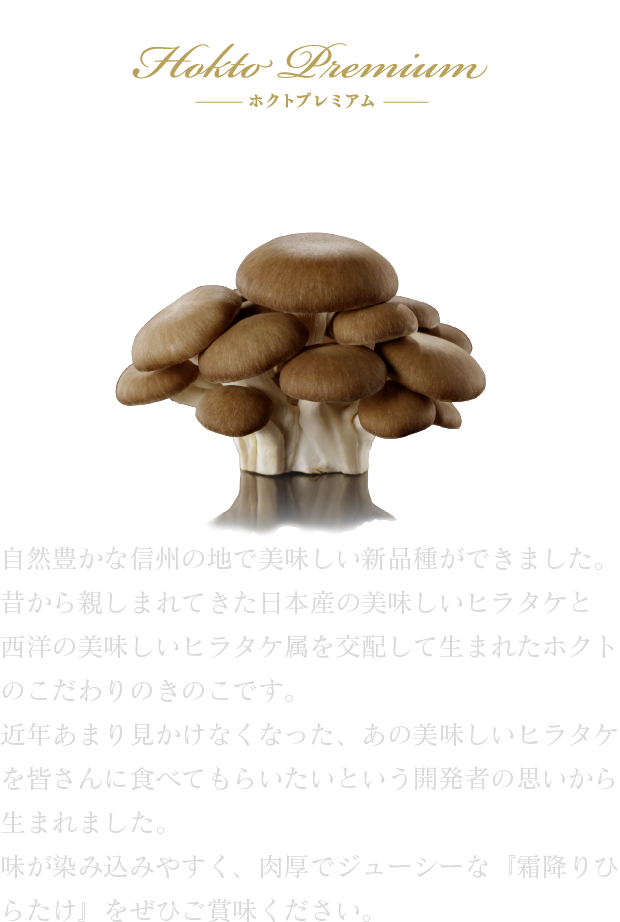 Hokuto Premium Shimofuri Hiratake (Oyster Mushrooms)