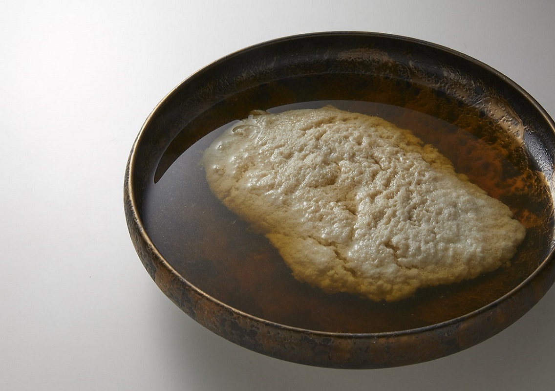 〜きのこのおぼろ豆腐仕立て 風味豊かな蒸しスープ仕立て〜