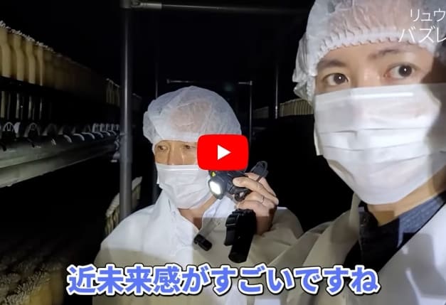 絶対テレビじゃ映せない、きのこの全て教えます