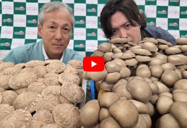 家が高級イタリアンになる。きのこの変態と作る至高のリゾット