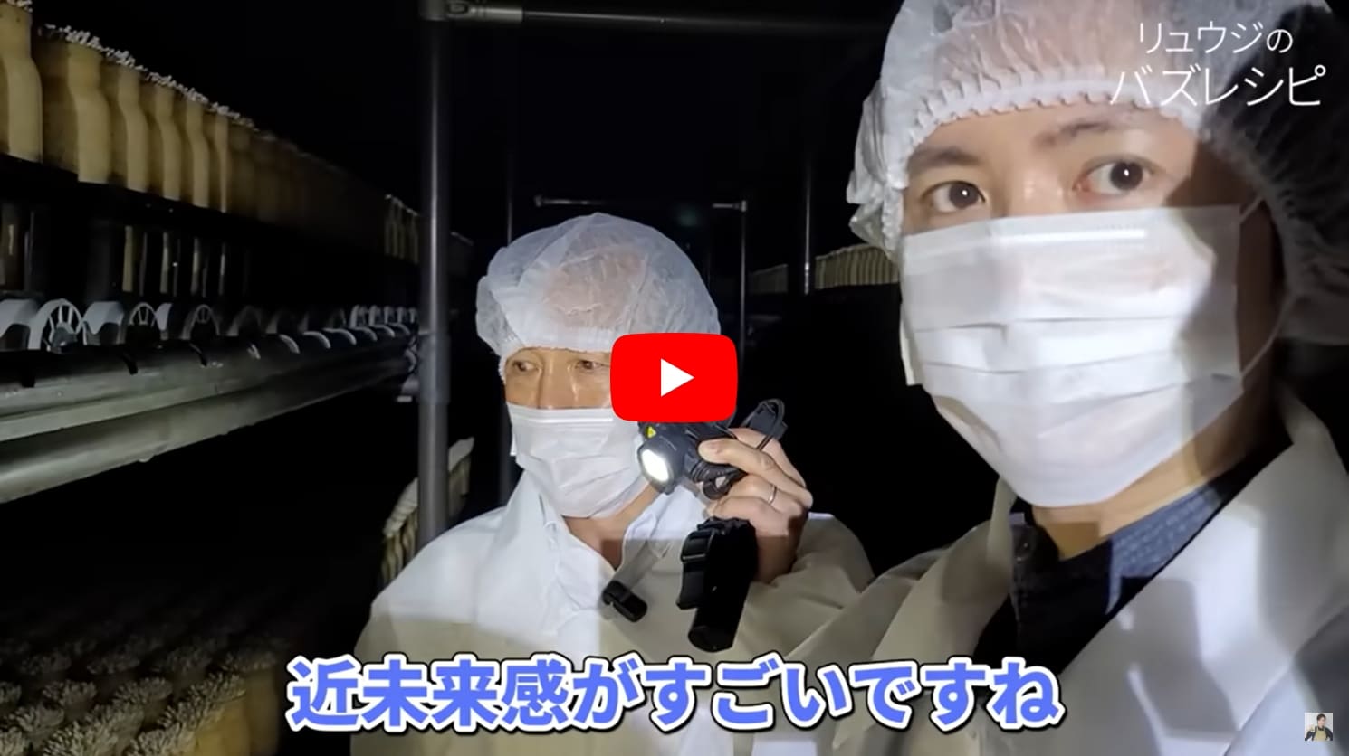 絶対テレビじゃ映せない、きのこの全て教えます