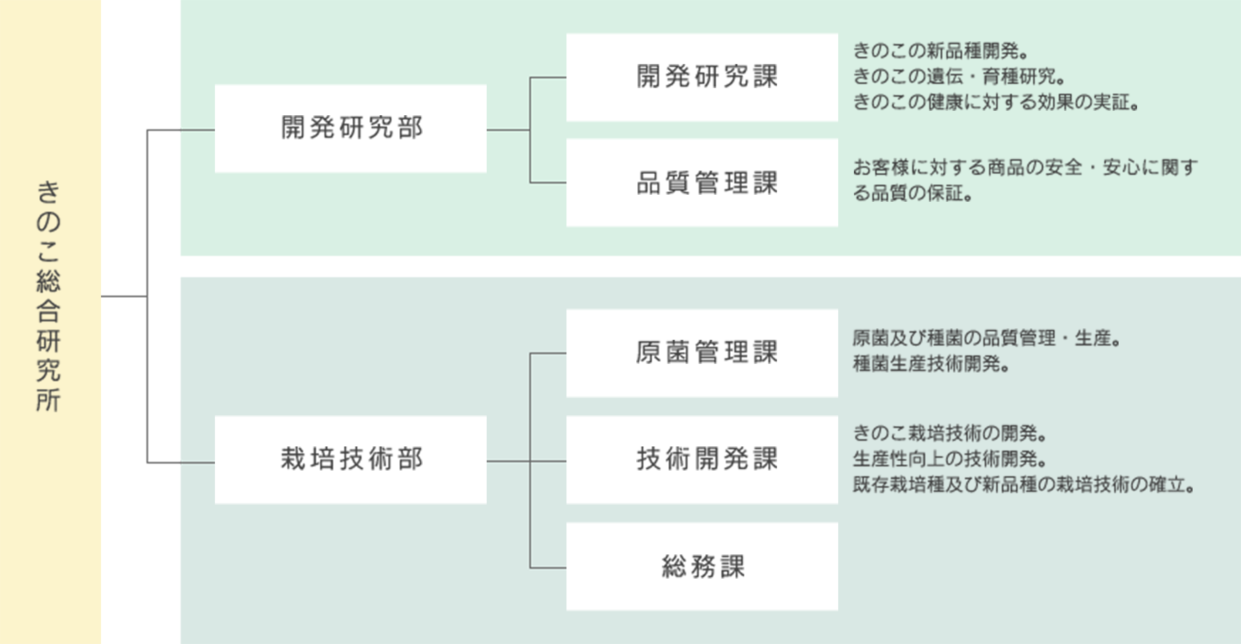 研究開発体制
