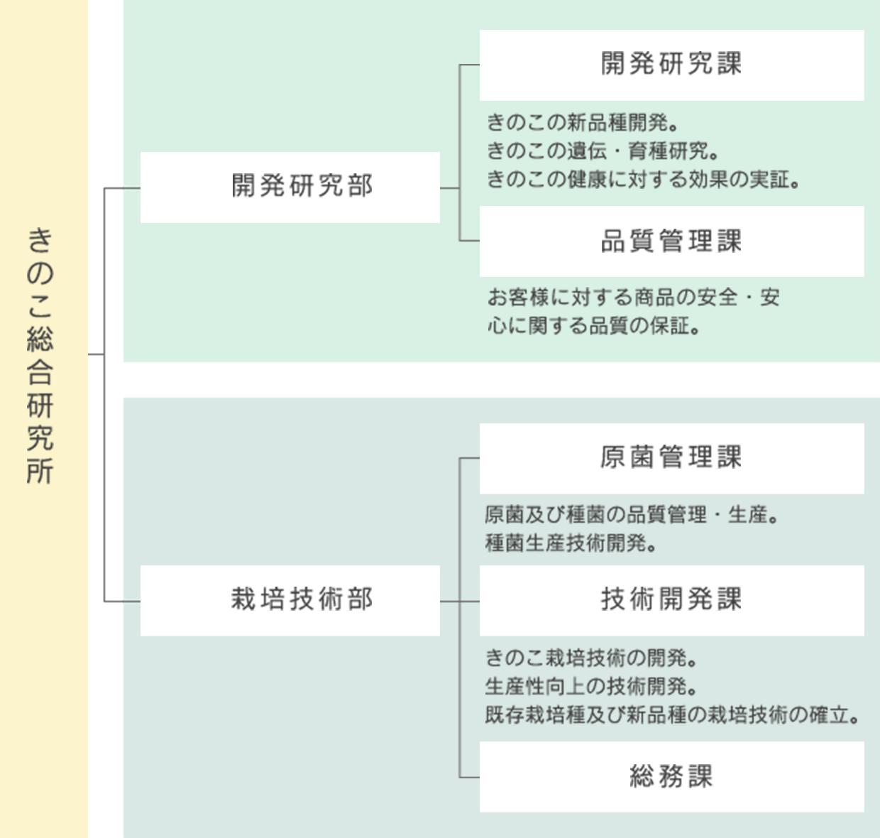研究開発体制