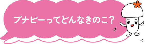 ブナピーってどんなきのこ？