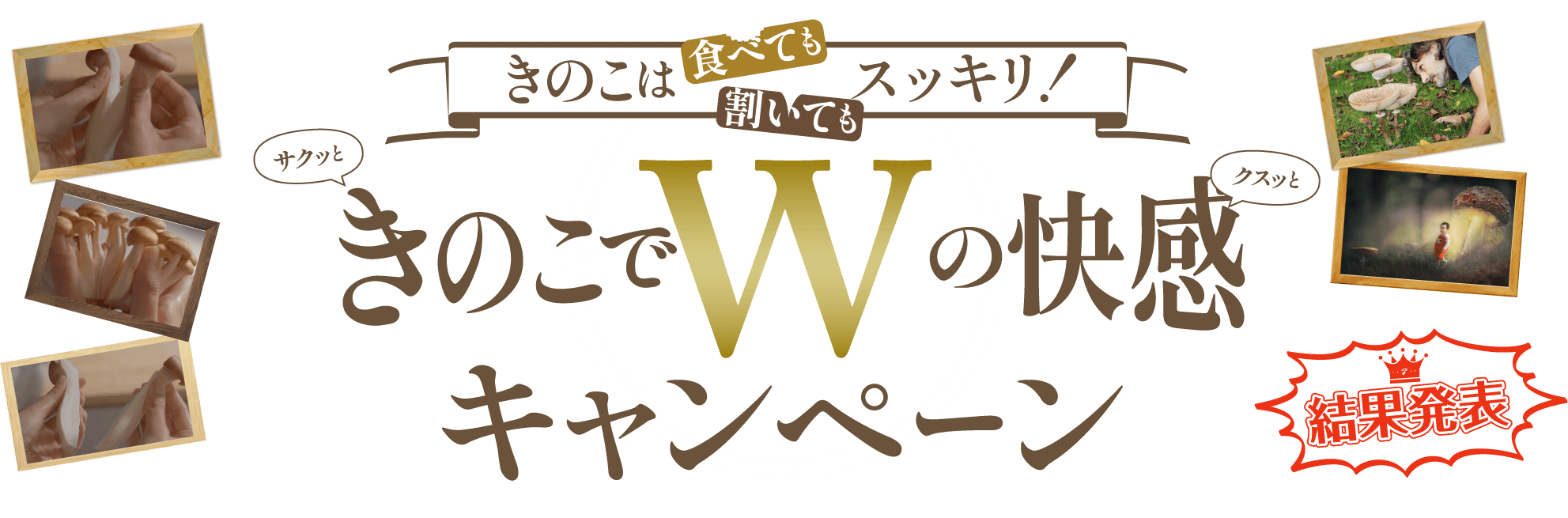 きのこでWの快感キャンペーン