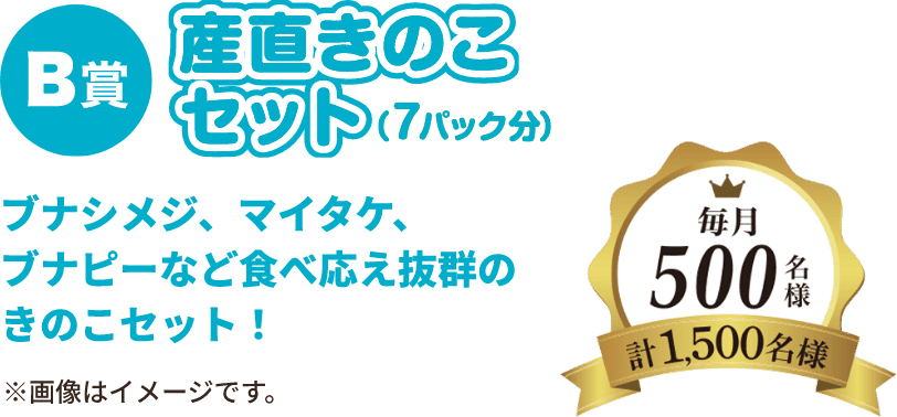 B賞 産直きのこセット, ブナシメジ、マイタケ、ブナピーなど食べ応え抜群のきのこセット！, 毎月500名様（計1,500名様）