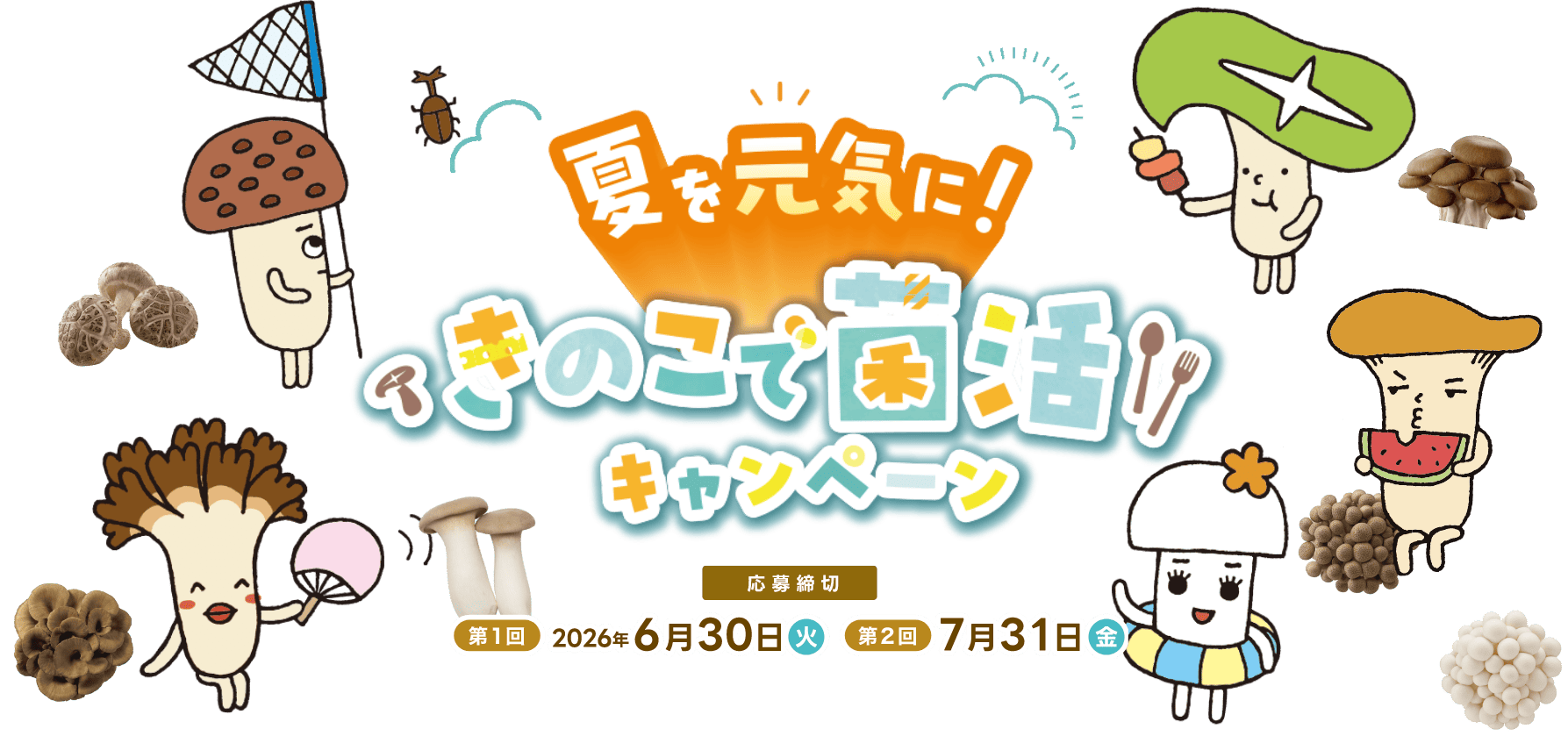 夏を元気に！きのこで菌活キャンペーン
