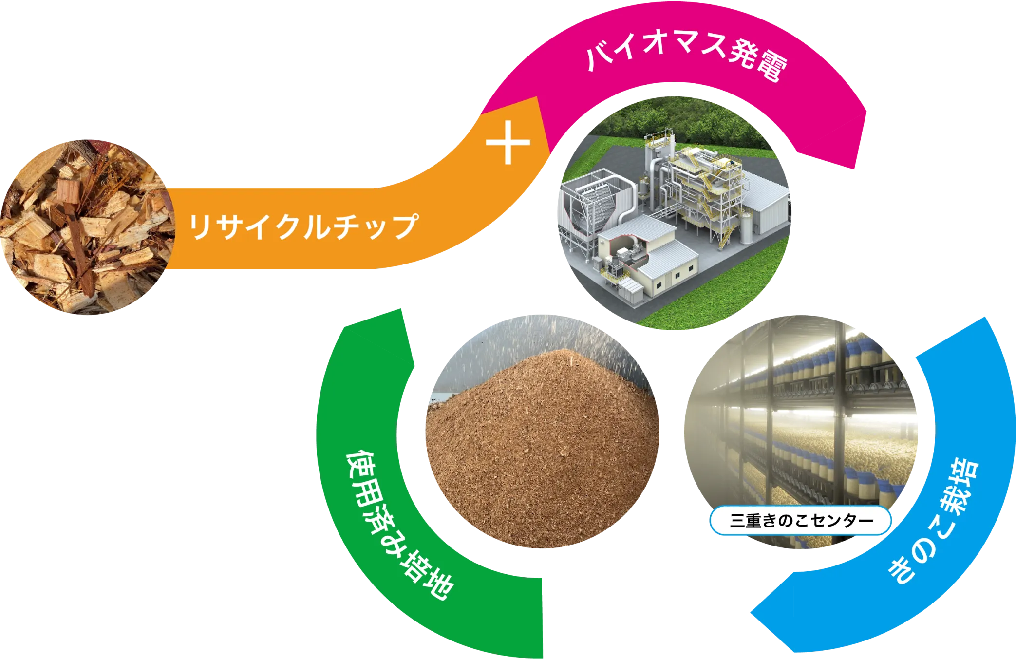 サーキュラーエコノミーの図