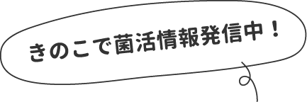 きのこで菌活情報発信中！