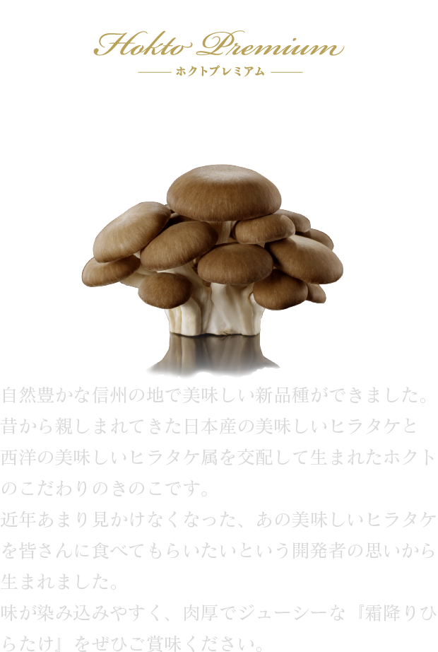 霜降りひらたけ