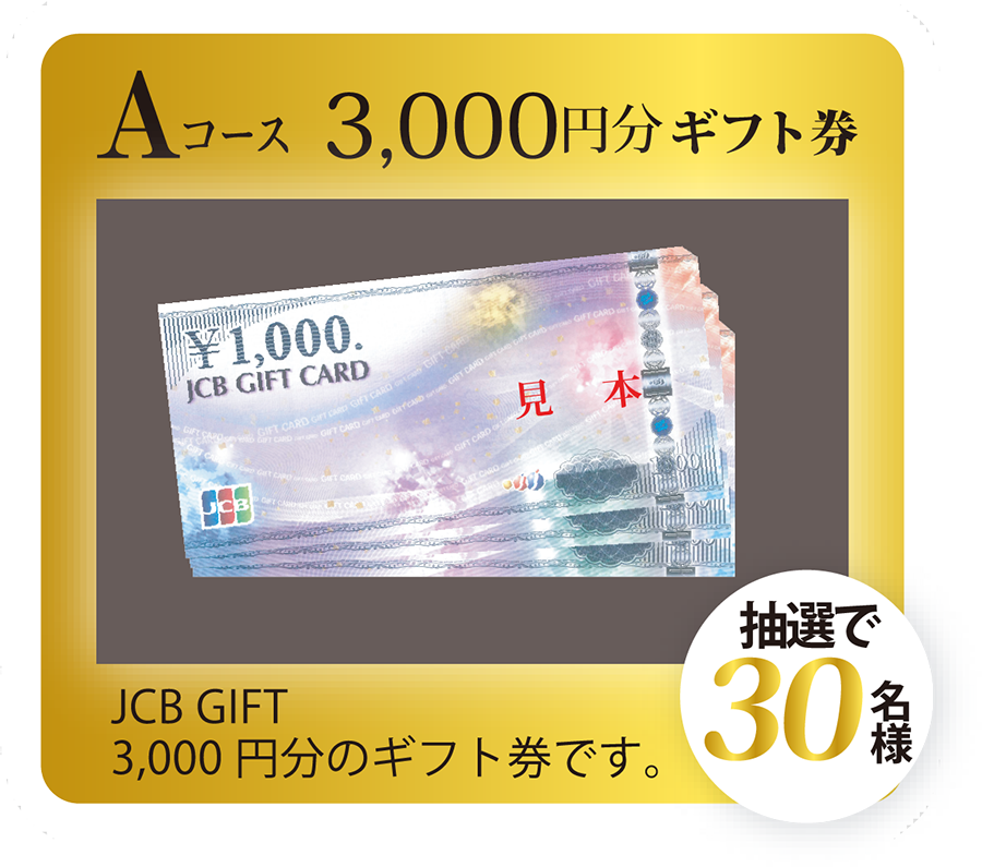 3,000円分ギフト券
