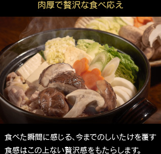 肉厚で贅沢な食べ応え 食べた瞬間に感じる、今までのしいたけを覆す食感は、この上ない贅沢感をもたらします