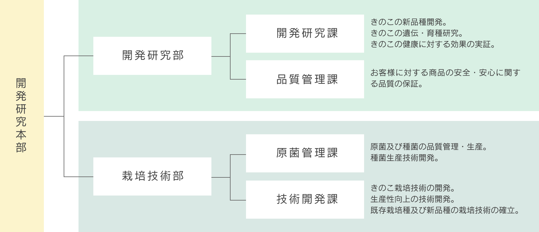 研究開発体制