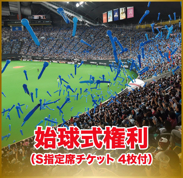 試合観戦チケット