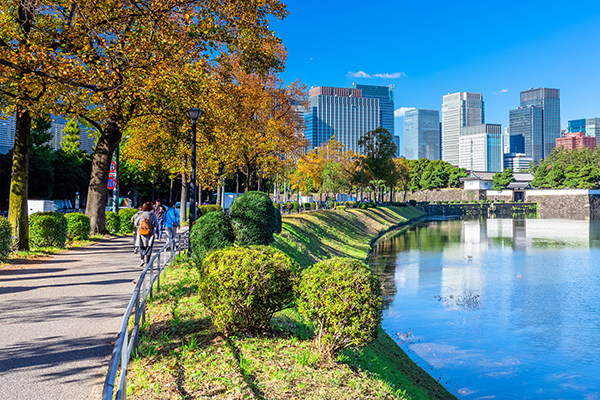 /kinokolabo/season/38445/