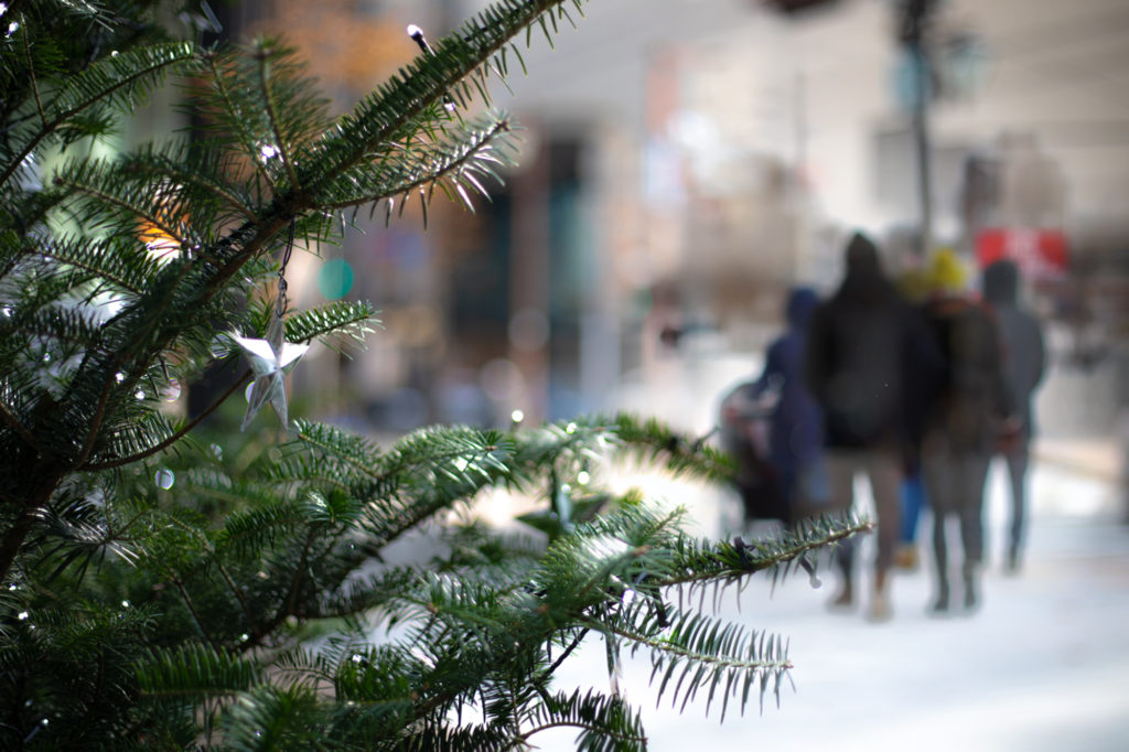 /kinokolabo/season/38934/