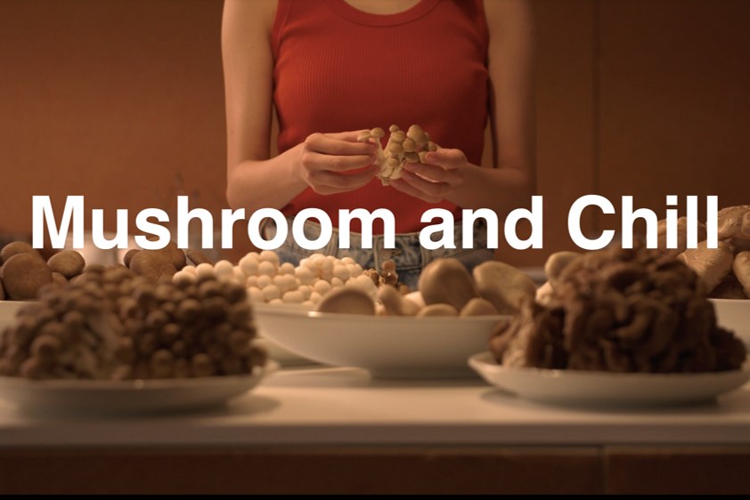 Mushroom＆Chill-24/7