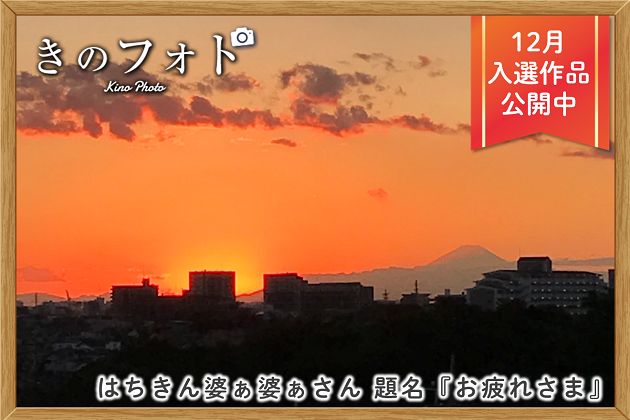/kinokolabo/kinophoto/