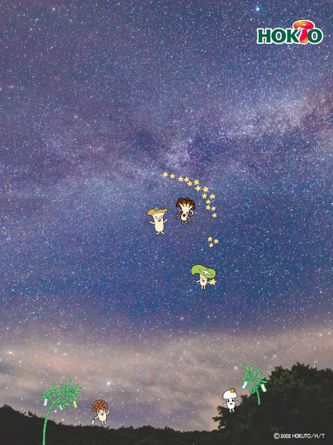 7月 七夕の夜空