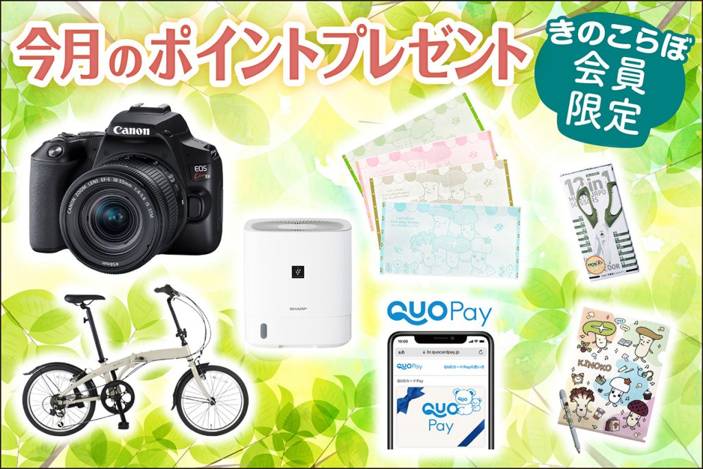 会員限定で当たる！ポイントプレゼント
