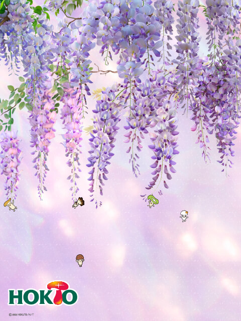 5月 藤の花あそび