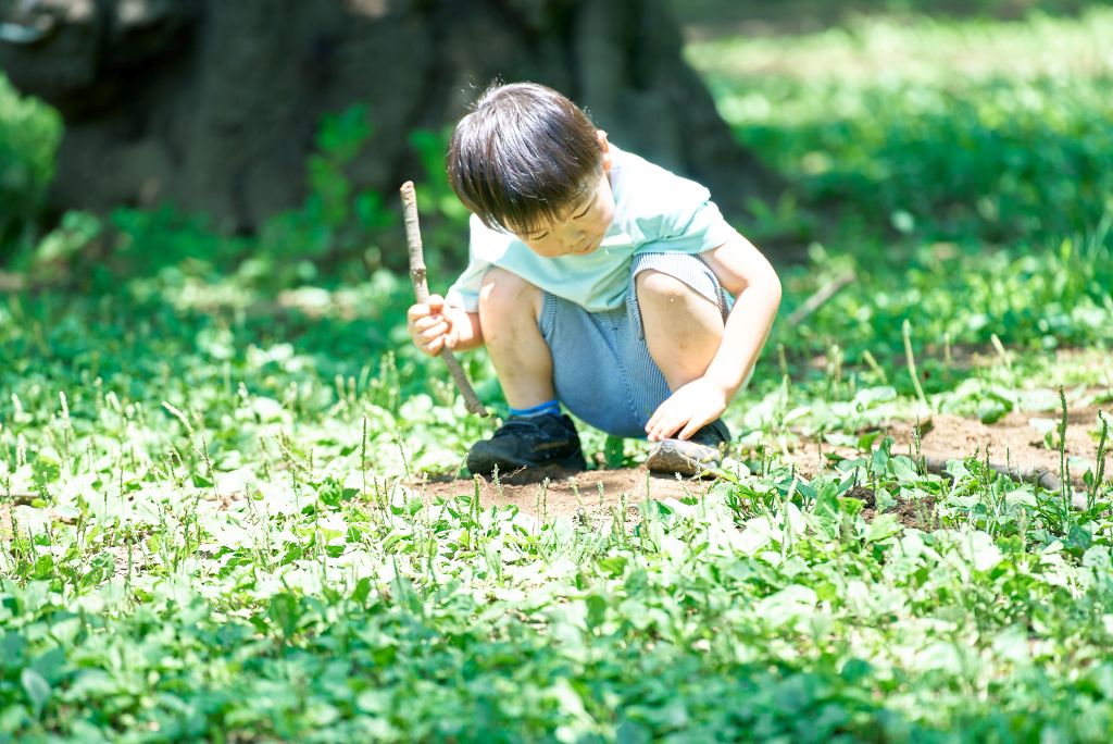 https://www.hokto-kinoko.co.jp/kinokolabo/child-ability/300934/