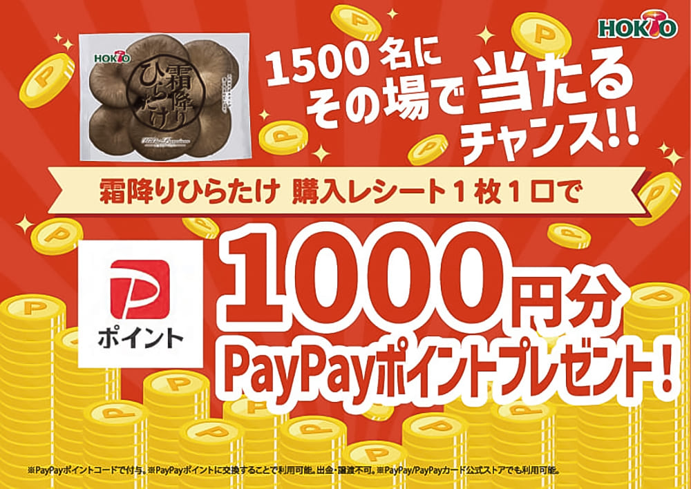 PayPayキャンペーン_WEBバナー