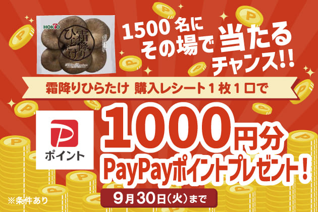 PayPayポイントプレゼントキャンペーン