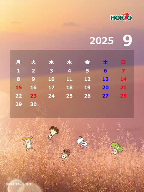 9月 秋の野原