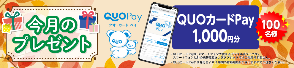 きのこらぼ│会員限定プレゼント2025年11月