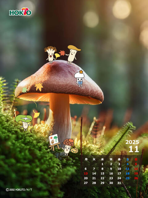 11月 キノコときのこ組