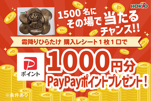 PayPayポイントプレゼントキャンペーン