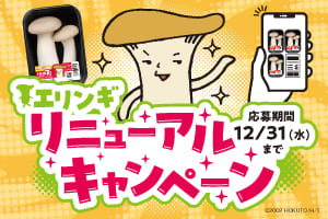 エリンギを買って応募しよう♪きのこ組キーホルダー５体セットが当たるキャンペーン実施中