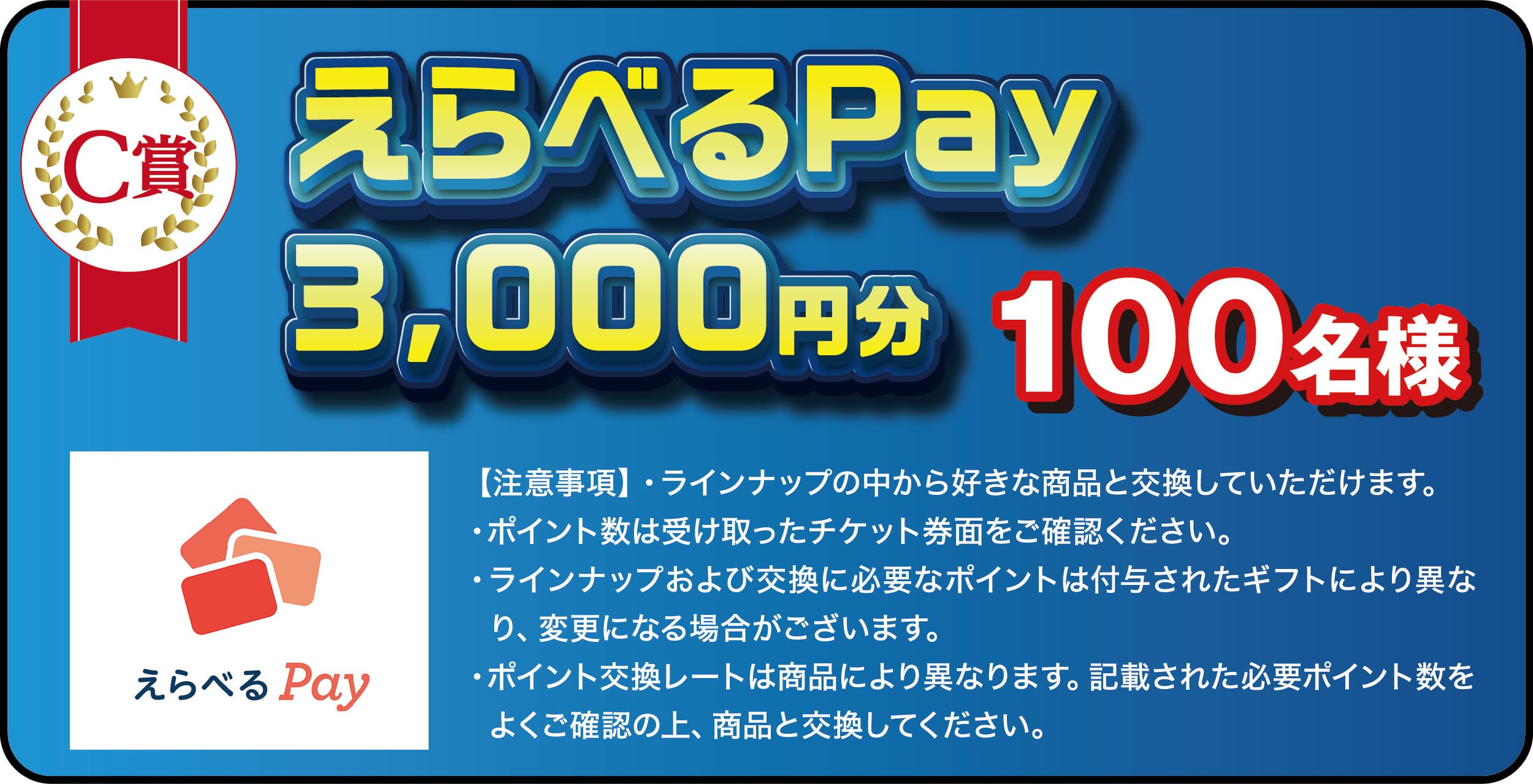えらべるPay3,000円分