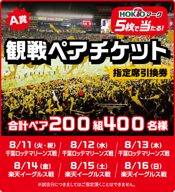 観戦ペアチケット