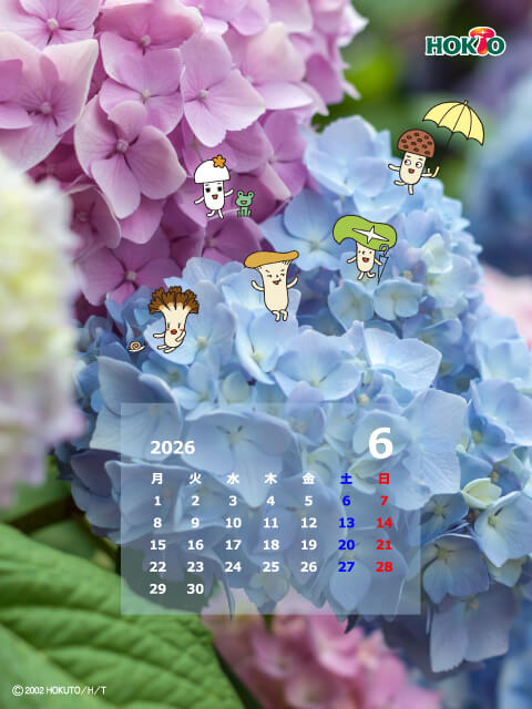6月 あじさい観察隊