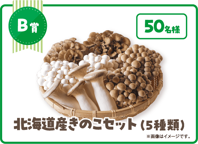 北海道産きのこセット(5種類)